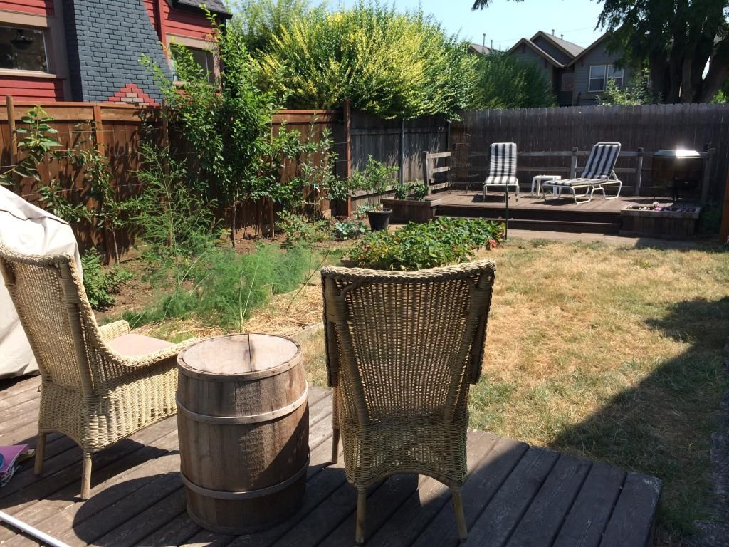  photo 2FF14F23-F0EE-4274-8232-B8CE321F8951.jpg